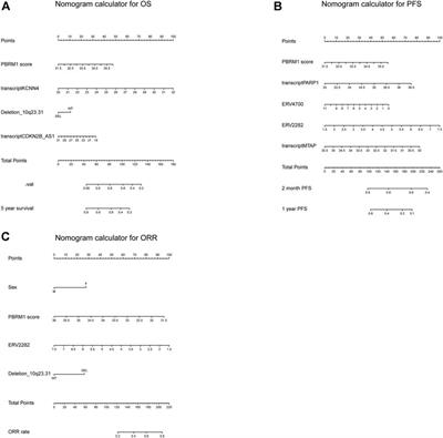 Predicting prognosis and immunotherapeutic response of clear cell renal cell carcinoma